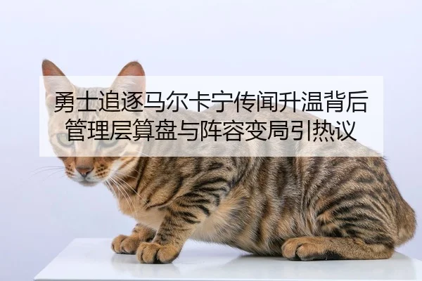 勇士追逐马尔卡宁传闻升温背后 管理层算盘与阵容变局引热议